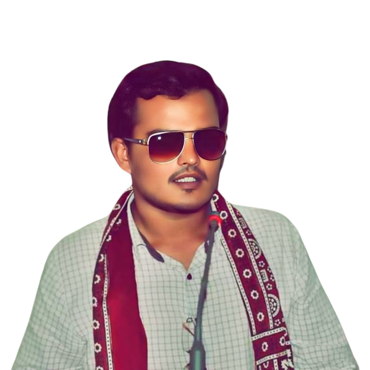 Vice President